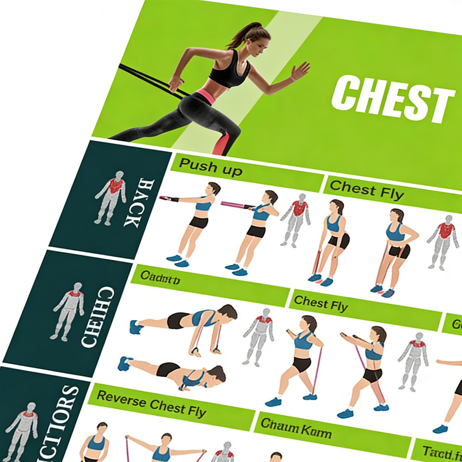 Exercise Posters Resistance Ba - đánh giá và giá Women Accessories Poster